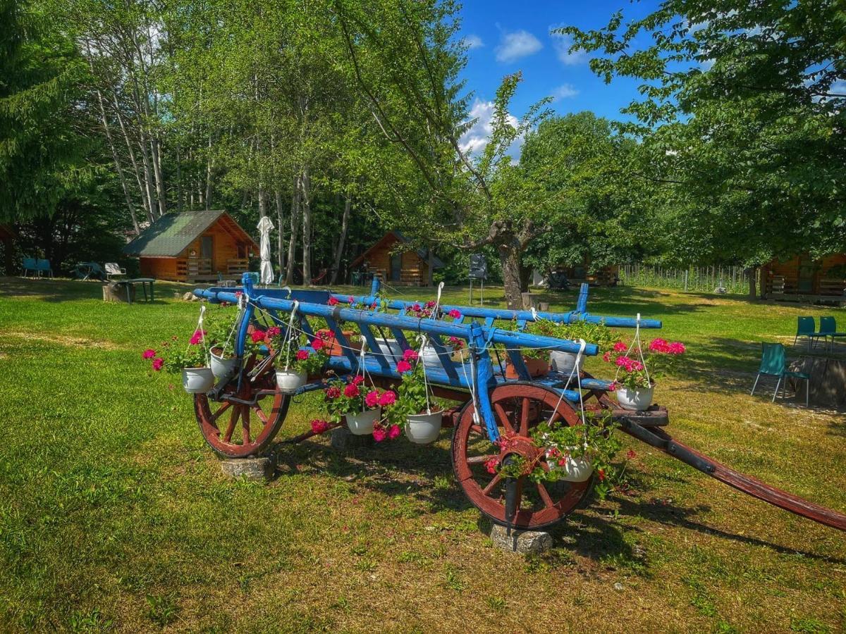 Camping Dragoske Ciofringeni Exterior foto
